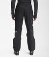 The North Face Men's Freedom Pant