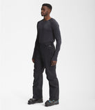 The North Face Men's Freedom Pant