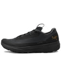 Arc'teryx Norvan LD 4 GTX Shoe  Men's