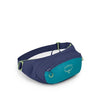 Osprey Daylite Waist Pack