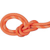 Mammut 9.8 Crag Classic Rope