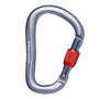 Black Diamond Rocklock Screwgate Carabiner - Ascent Outdoors LLC