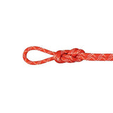 Mammut 9.5 Gym Classic Rope