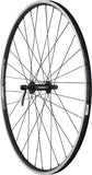 Quality Wheels Value Double Wall Series Rear Wheel Rim Brake