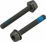 Campagnolo Rear Caliper Mounting Screws