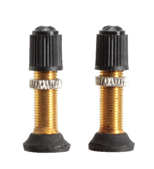 Stan's Schrader Valve Stem And Core 32MM Universal Pair